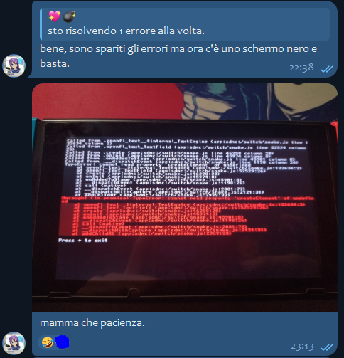 Misc OpenFL errors on the Switch