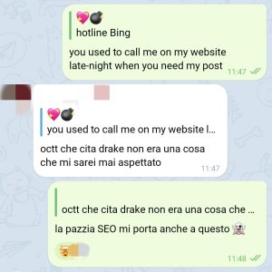 Hotline Bing (“Drake – Hotline Bling” Webmasters’ Parody)